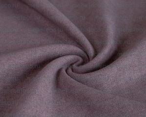 ANTONIO PLUM